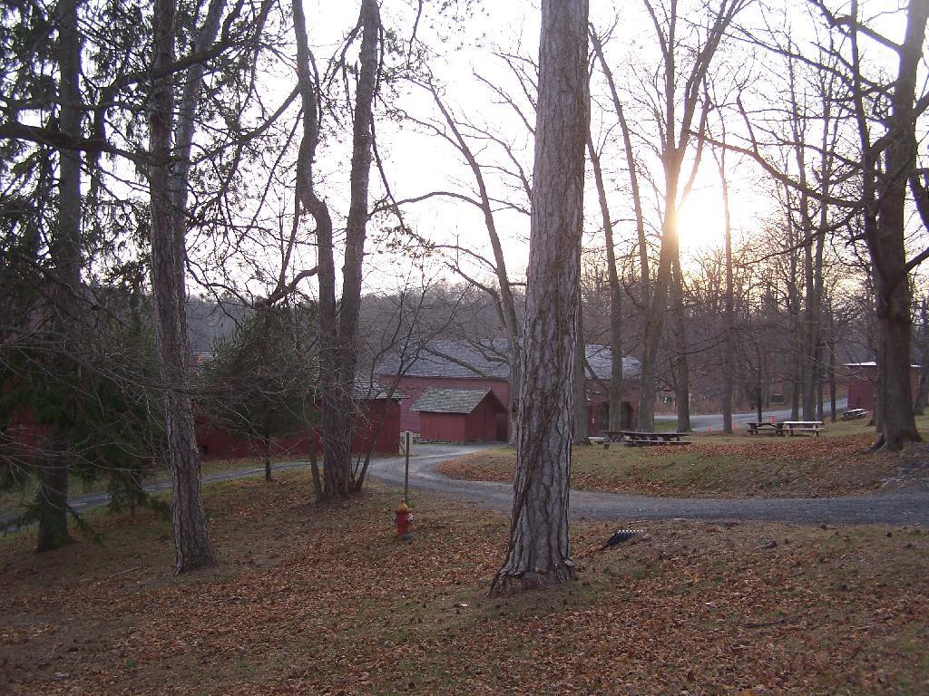 Photo: Olana Farm Photo: Olana Farm