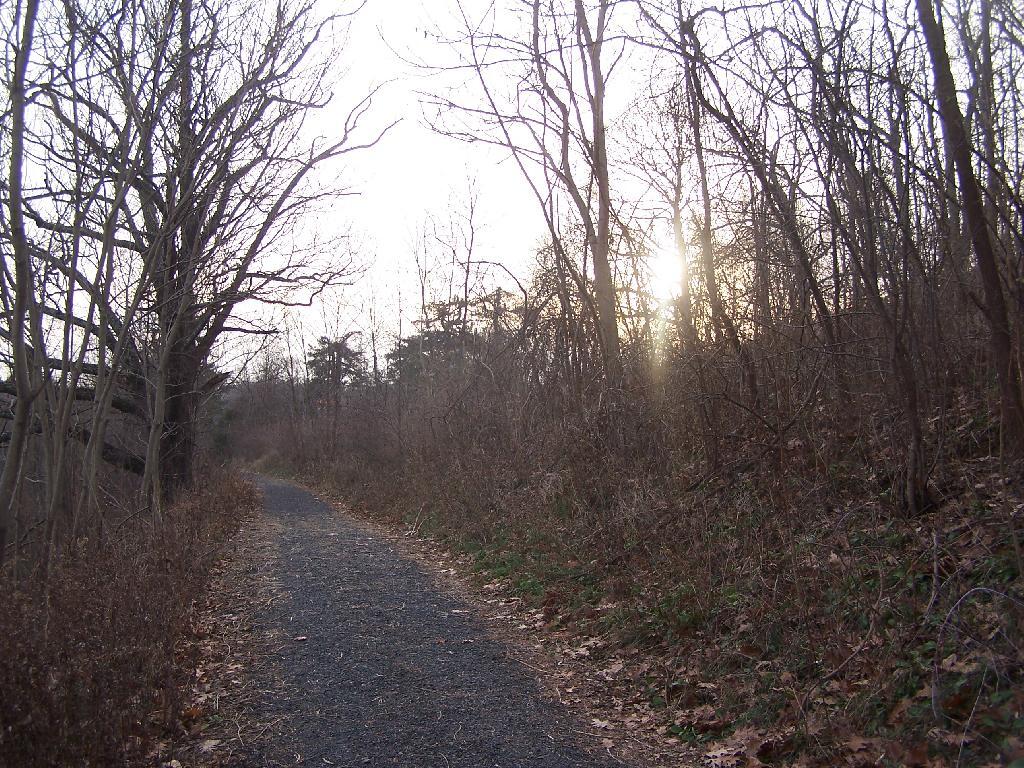 Photo: Along North Path