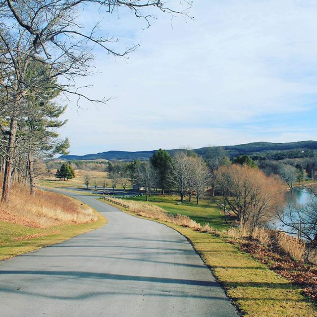 Photo: Roadway at Glimmerglass