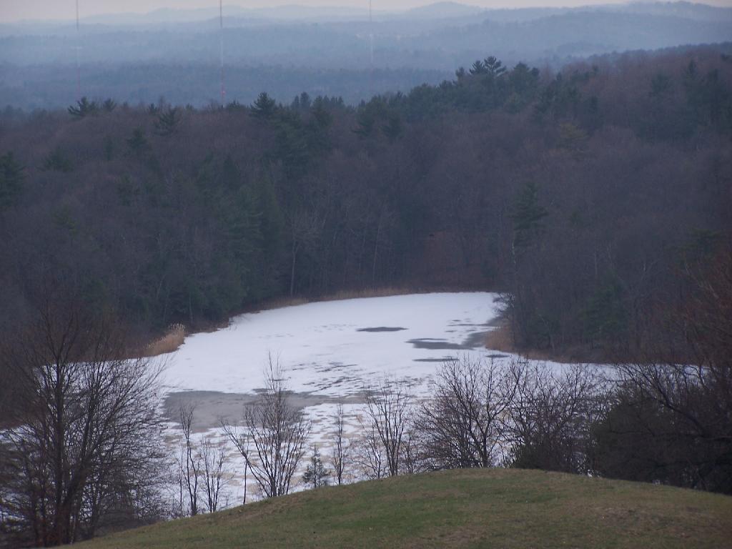 Photo: Pond Photo: Pond