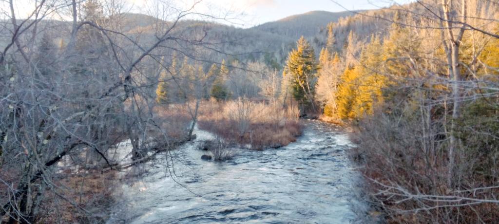 Photo: Stewart Creek Into Scanadaga River Photo: Stewart Creek Into Scanadaga River