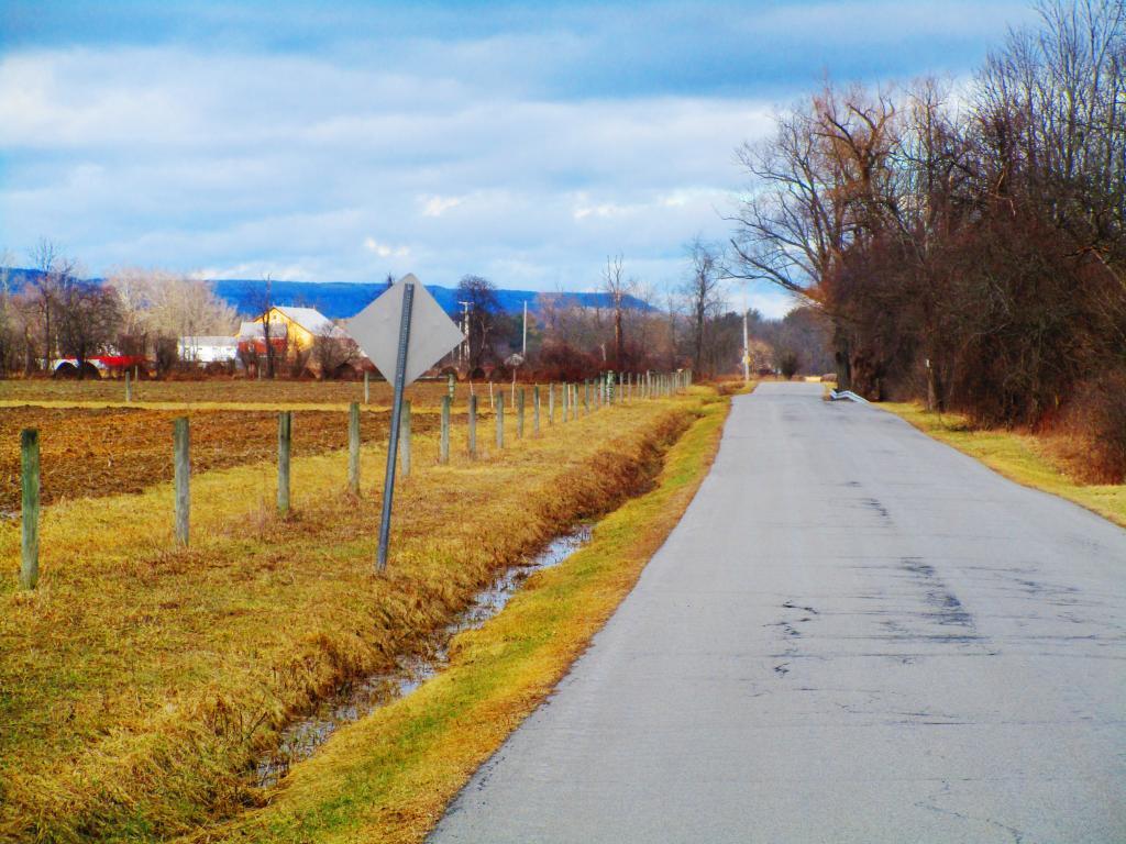 Photo: Meads Road