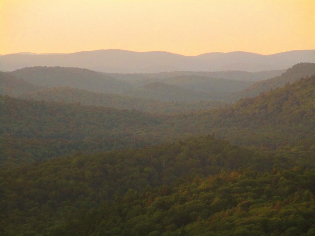Photo: Looking Into the Ferris Lake Wild Forest