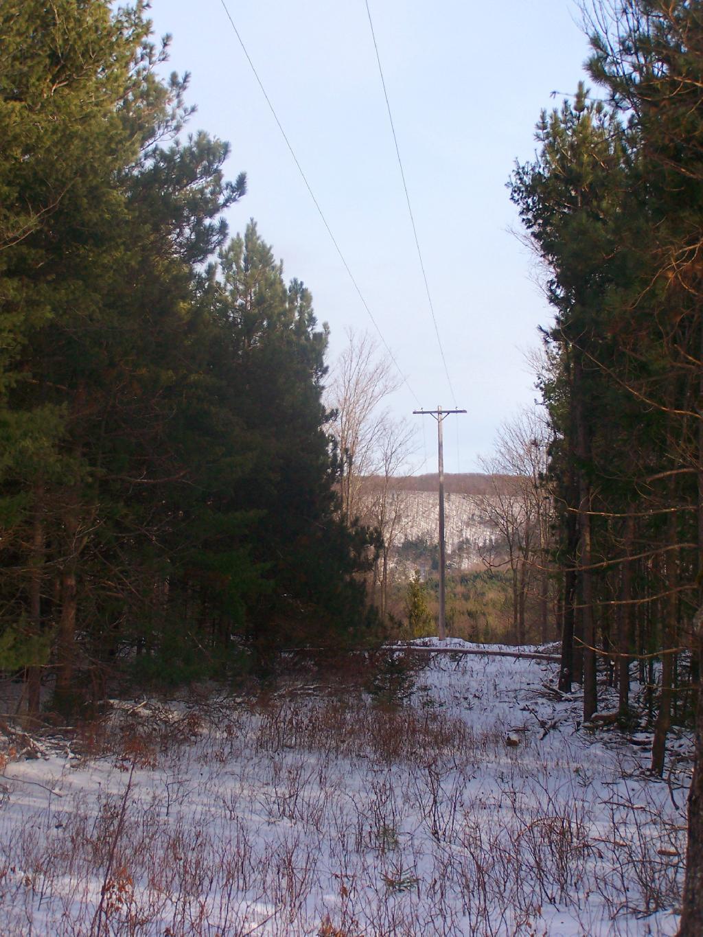 Photo: Electric Pole Clearing Photo: Electric Pole Clearing