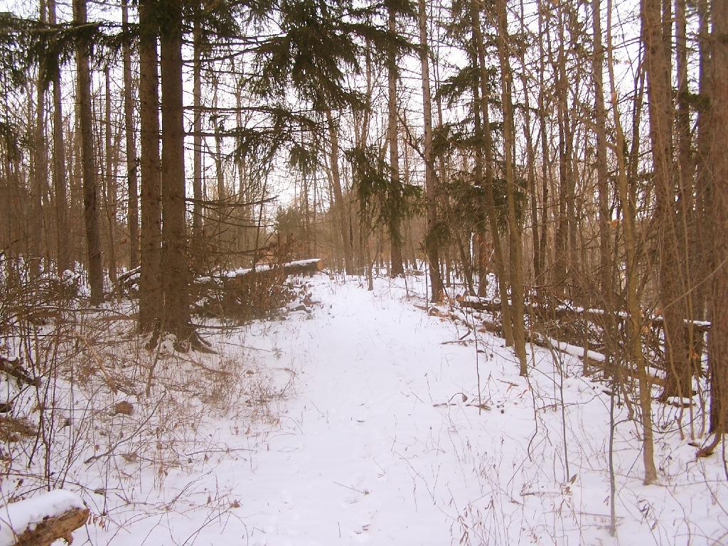 Photo: The New Red Trail Photo: The New Red Trail