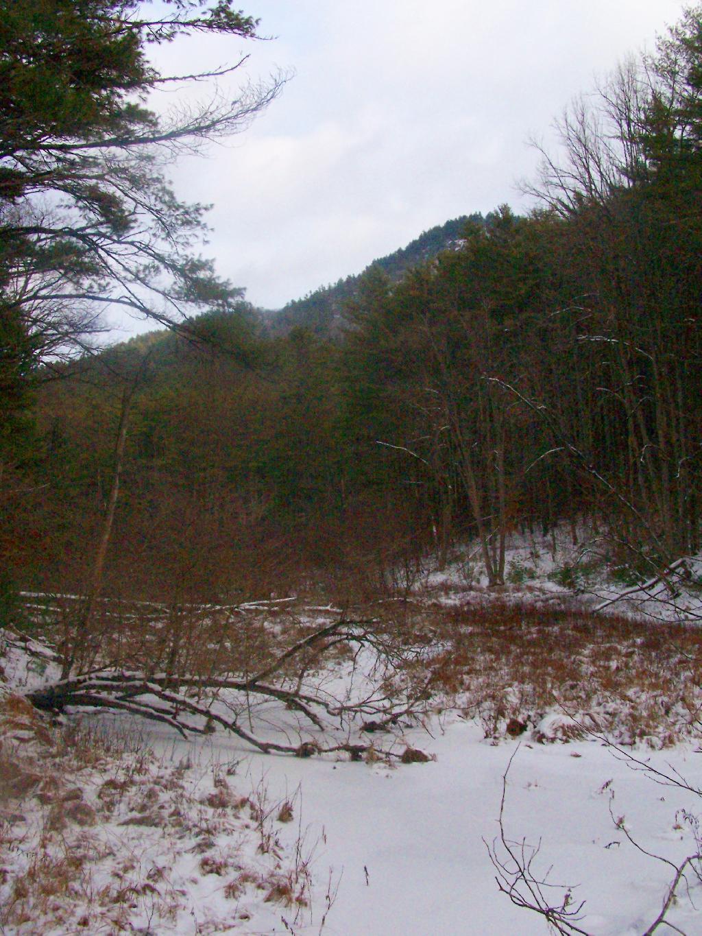 Photo: Fifth Peak High Above
