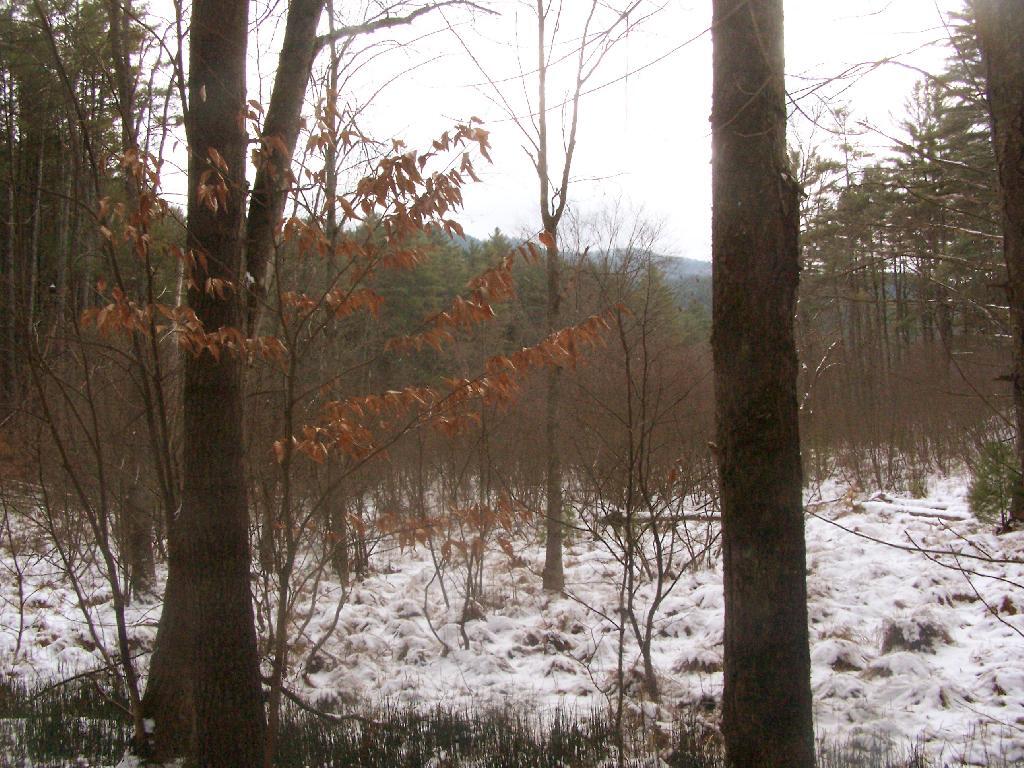 Photo: Finger of Lake George