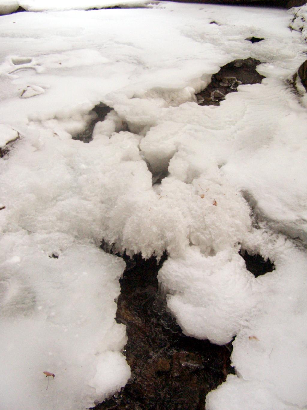 Photo: Ice Along Trail on Tongue