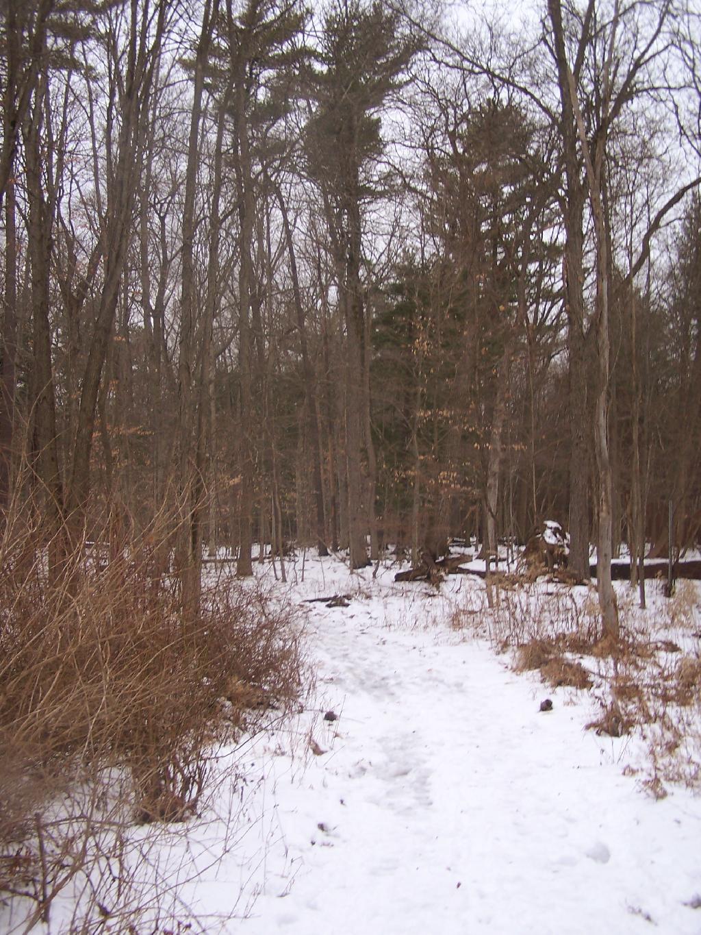 Photo: North Trail