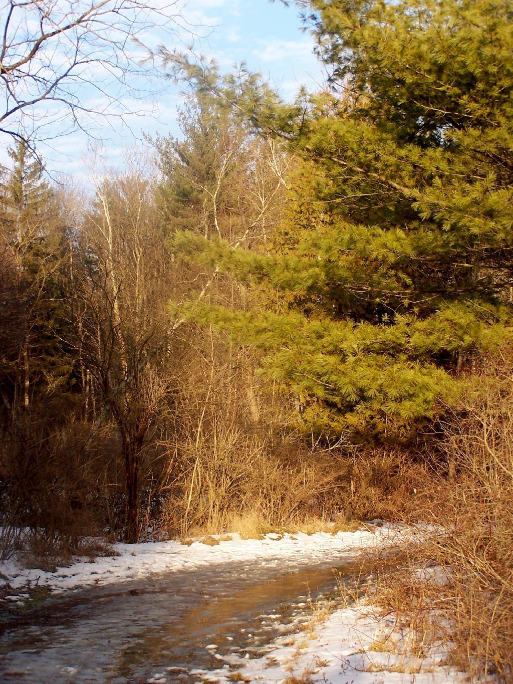 Photo: Slushy Trail Photo: Slushy Trail