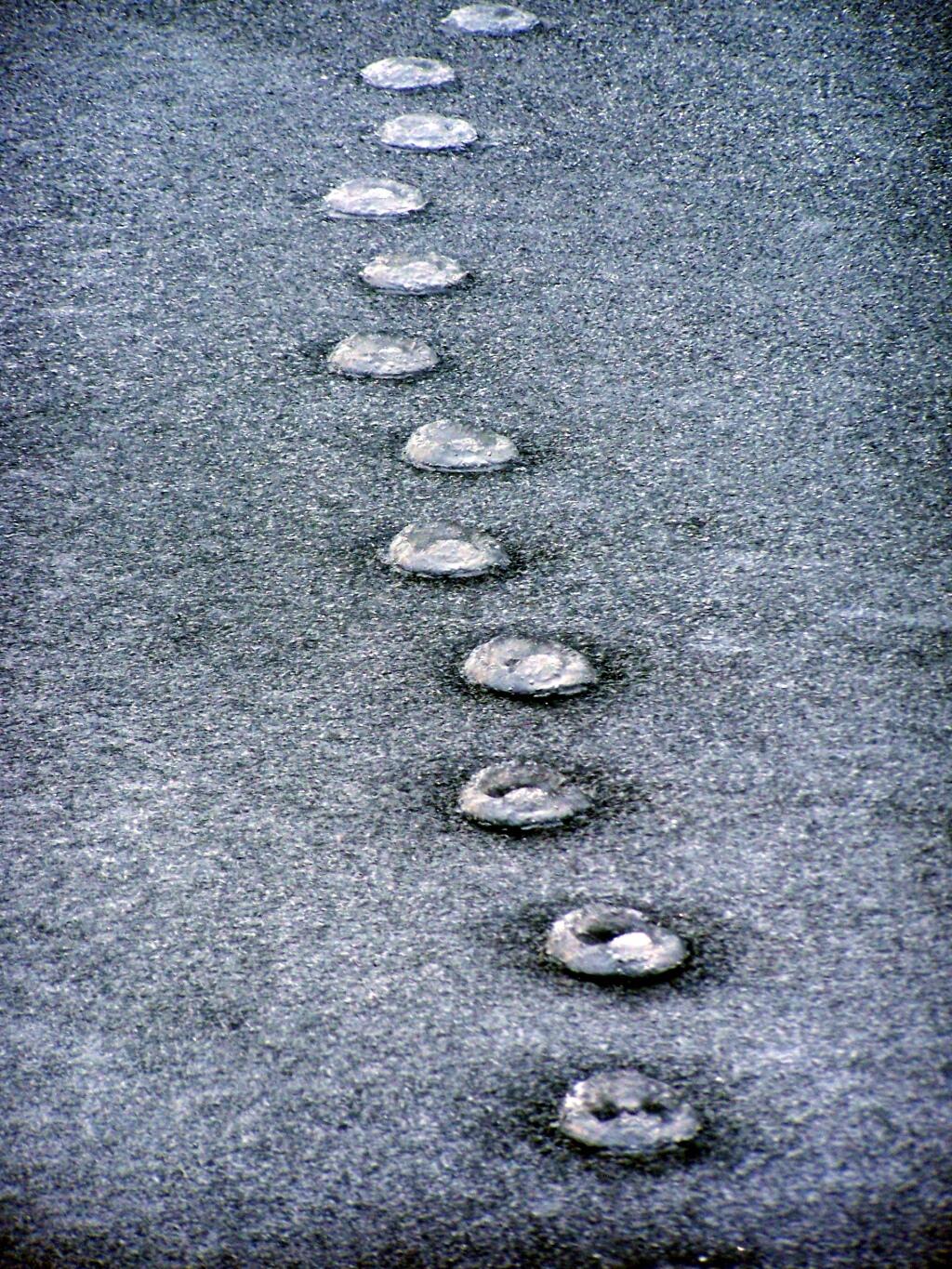 Photo: Melted Paw Prints in Ice