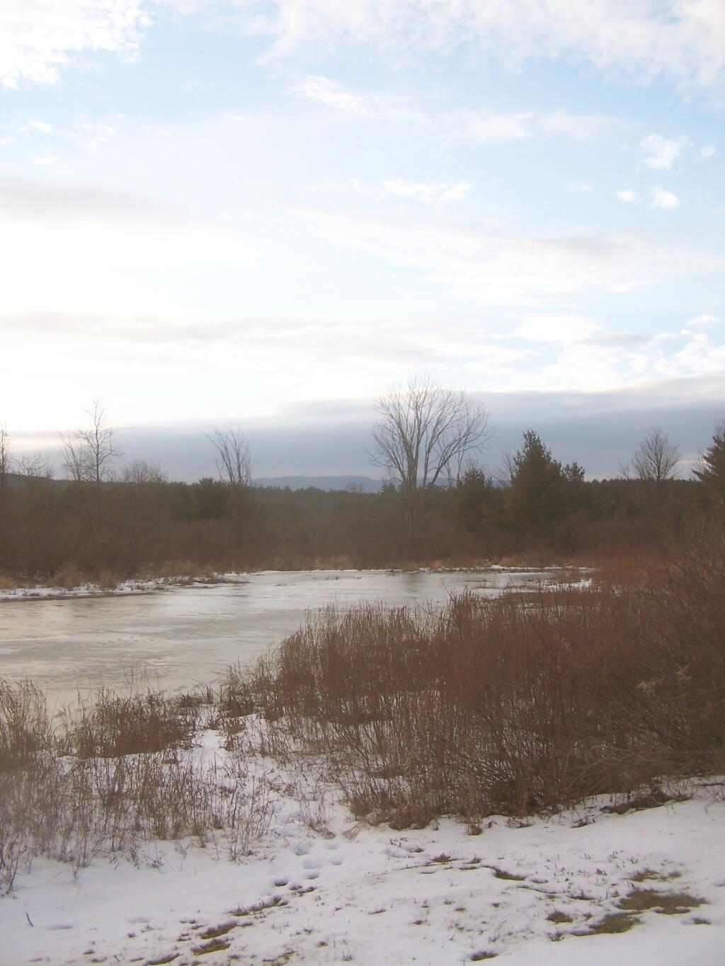 Photo: Pond