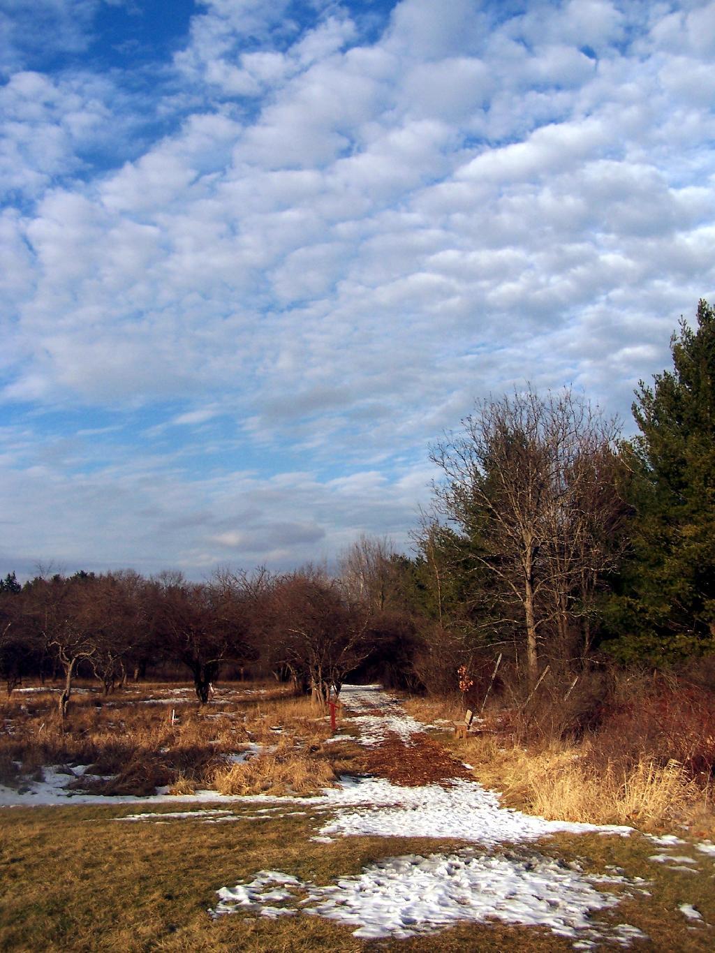 Photo: Along the Old Apple Orchard Photo: Along the Old Apple Orchard