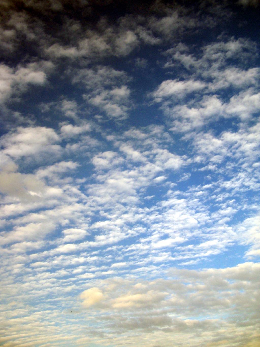 Photo: Clouds Photo: Clouds