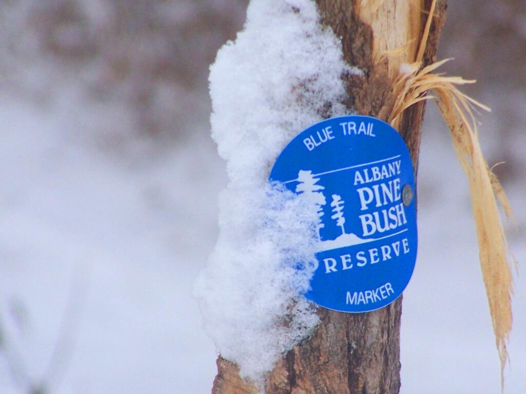 Photo: Trail Marker Photo: Trail Marker