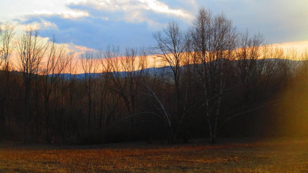 Photo: Evening Photo: Evening