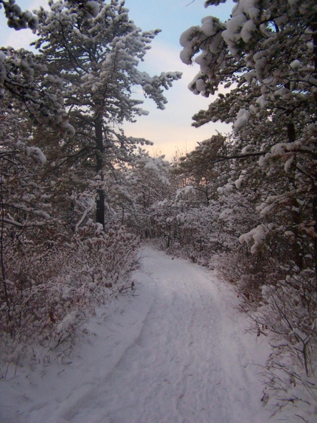 Photo: Walking Along the Trail