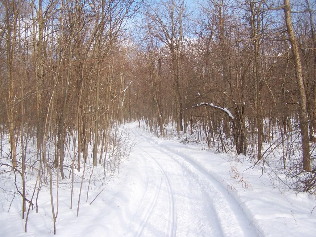 Photo: Snowmobile Trail Photo: Snowmobile Trail