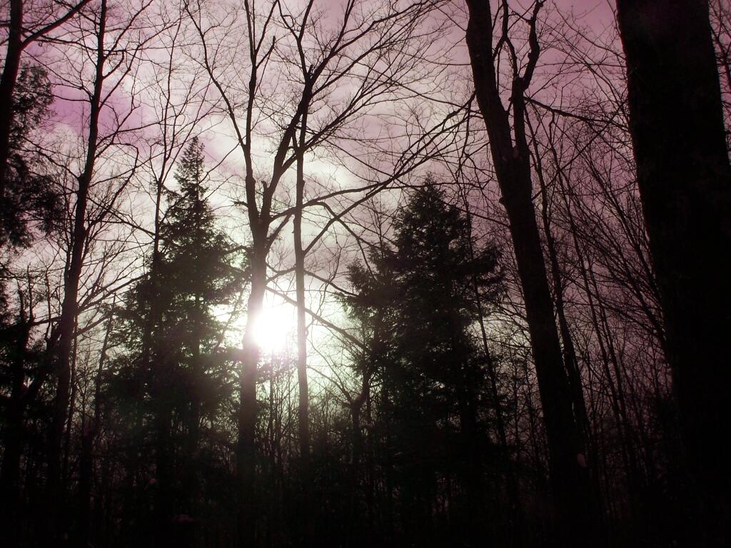 Photo: Sun Through Hazy Ski Photo: Sun Through Hazy Ski