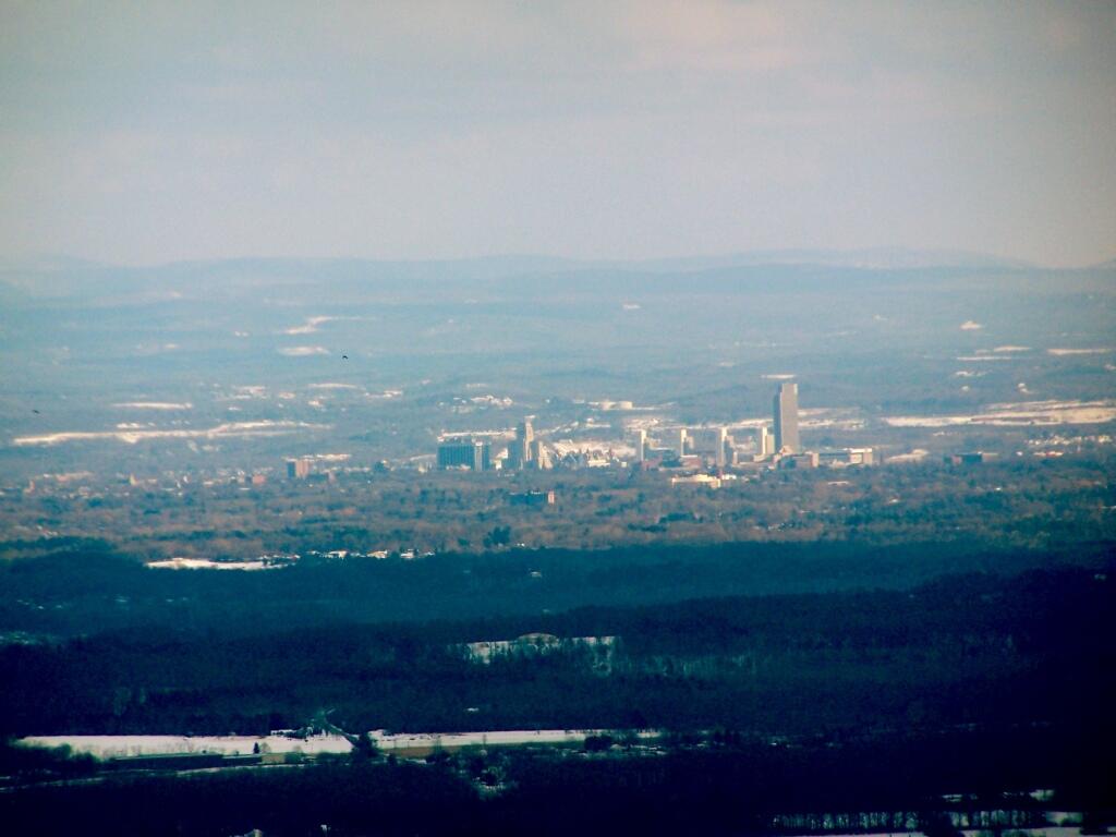 Photo: Albany Skyline