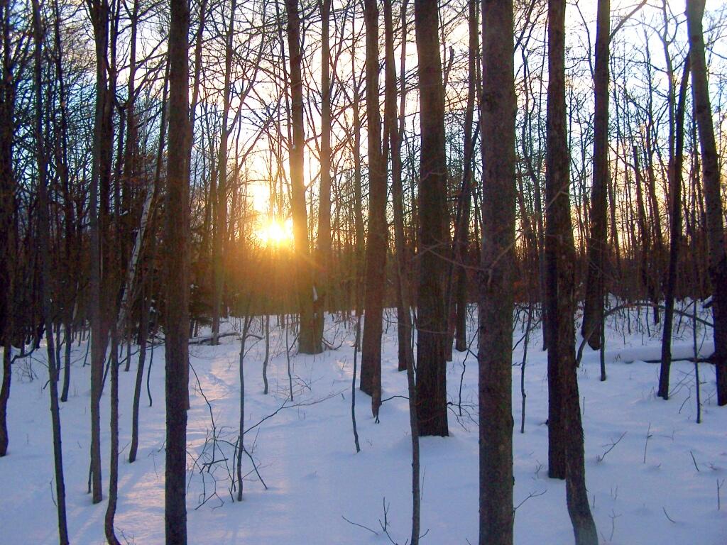 Photo: Setting Sun