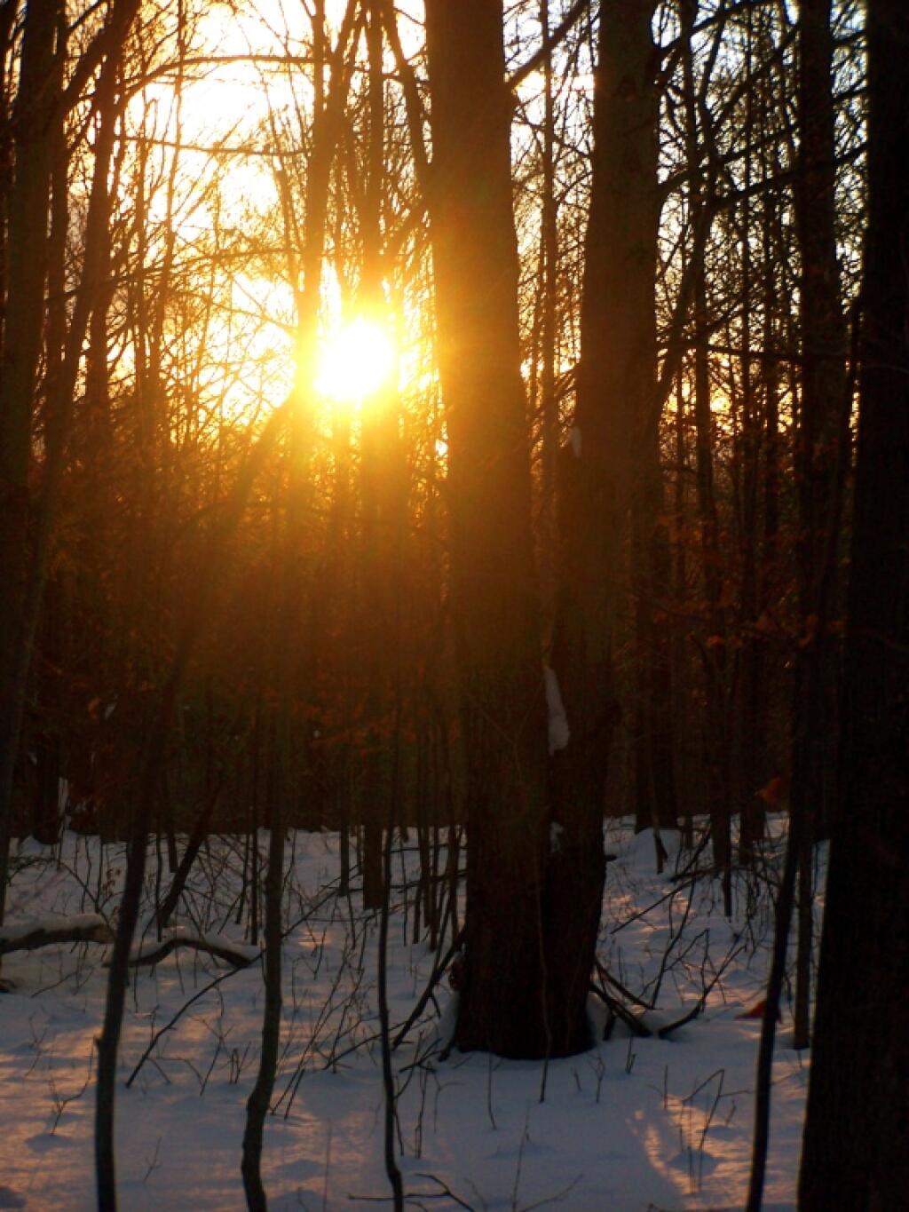 Photo: Getting Dark