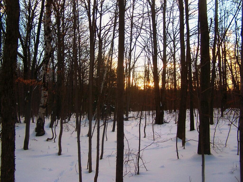 Photo: After Sunset
