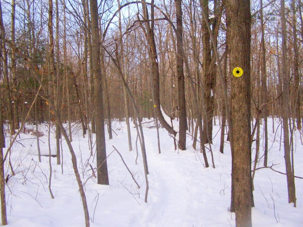 Photo: Along the Yellow Trail Photo: Along the Yellow Trail