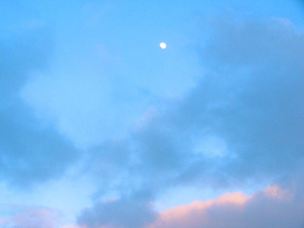 Photo: Almost Full Moon