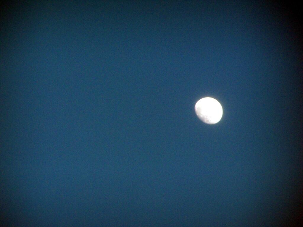 Photo: The Moon