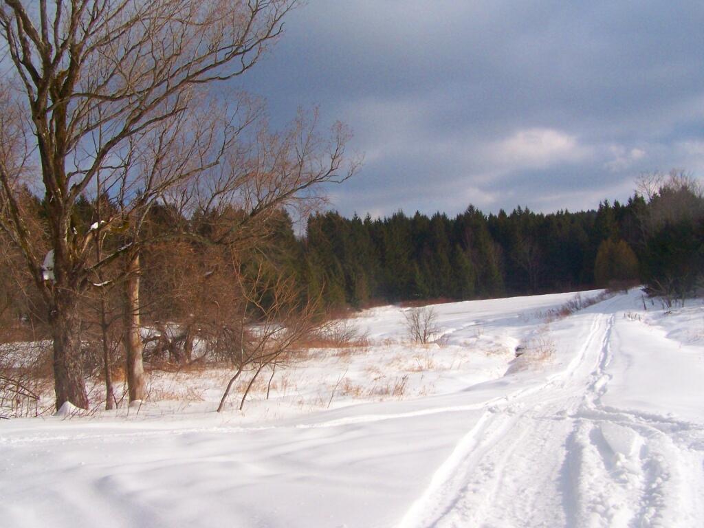 Photo: Frozen Ponds Photo: Frozen Ponds