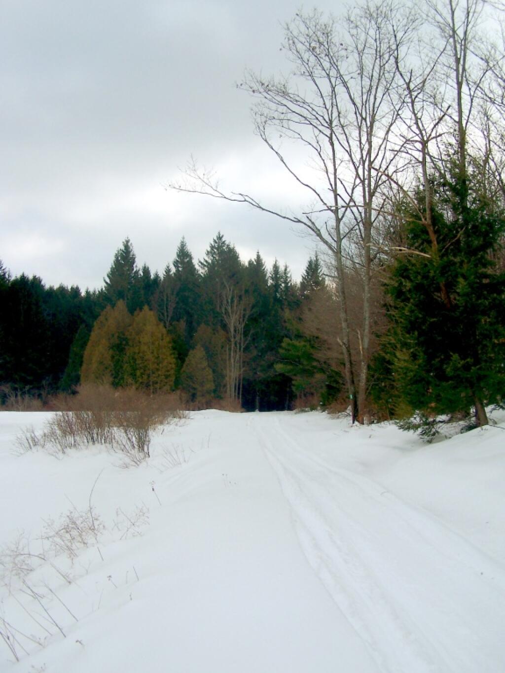 Photo: Unnamed Snowmobile Trail Photo: Unnamed Snowmobile Trail