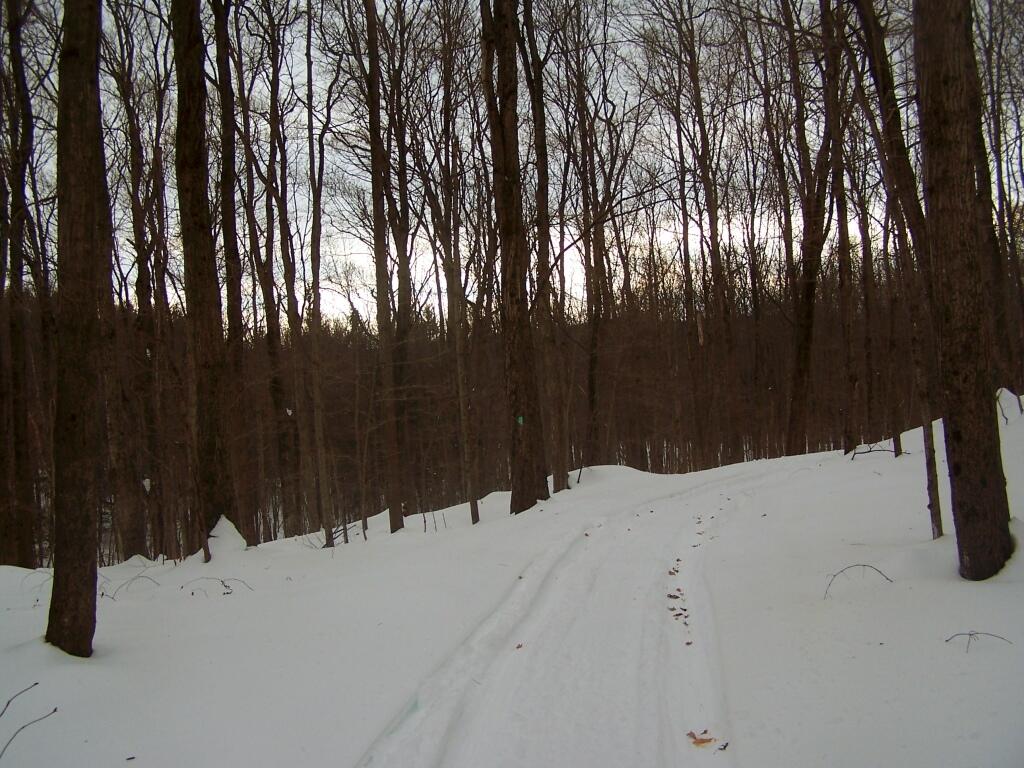 Photo: Snowshoeing Along Connector Trail