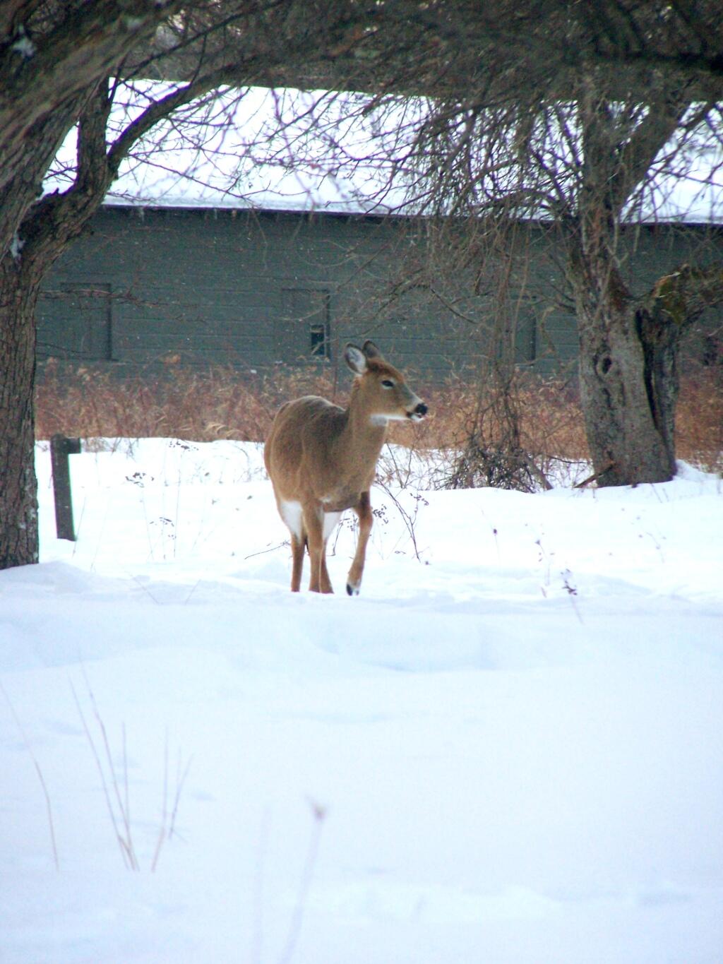 Photo: Why Are You Photographing Me?