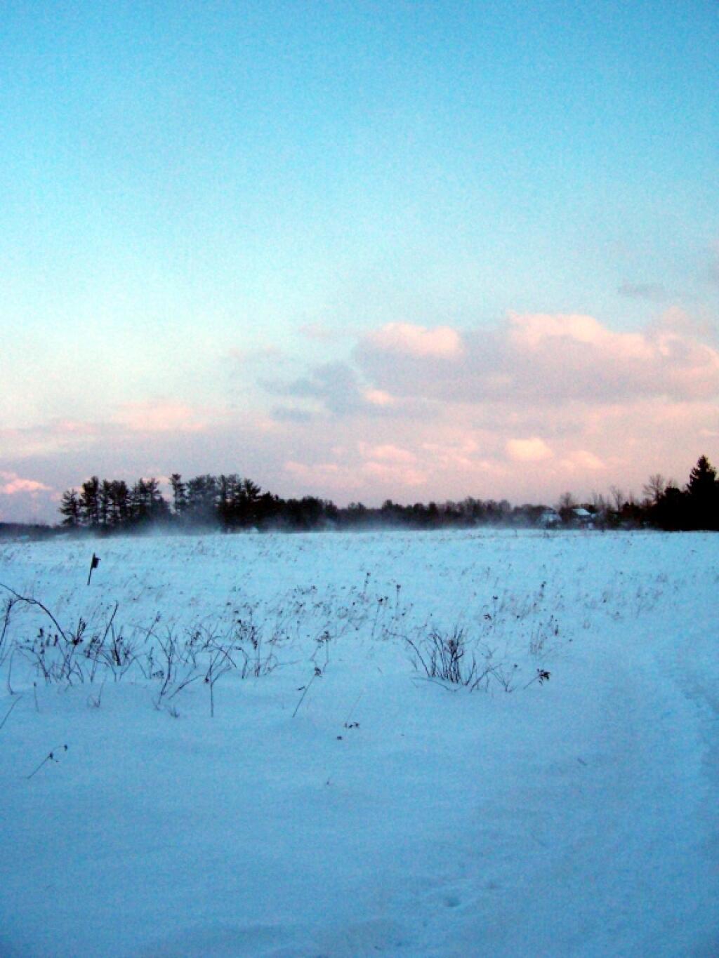 Photo: Blowing Snow Photo: Blowing Snow