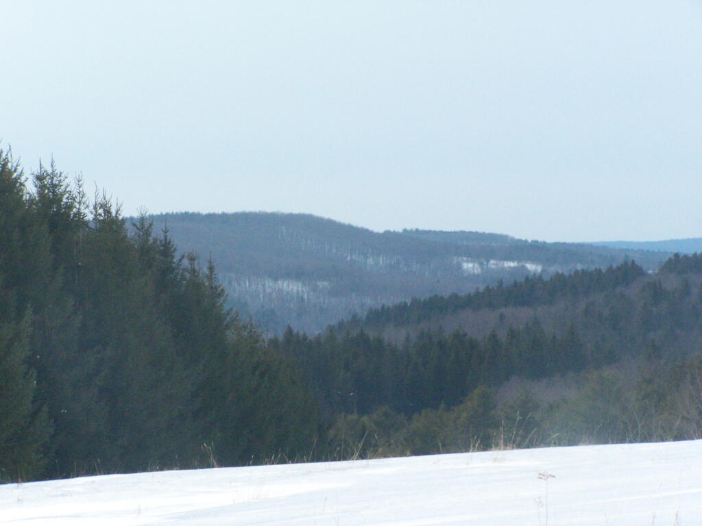 Photo: Huntersland Hollow Photo: Huntersland Hollow