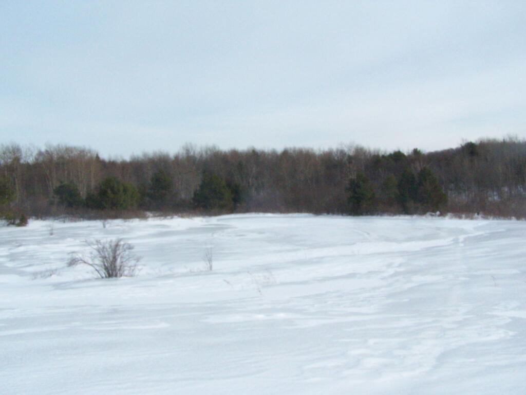 Photo: Ice and Snow Covered Pond Photo: Ice and Snow Covered Pond