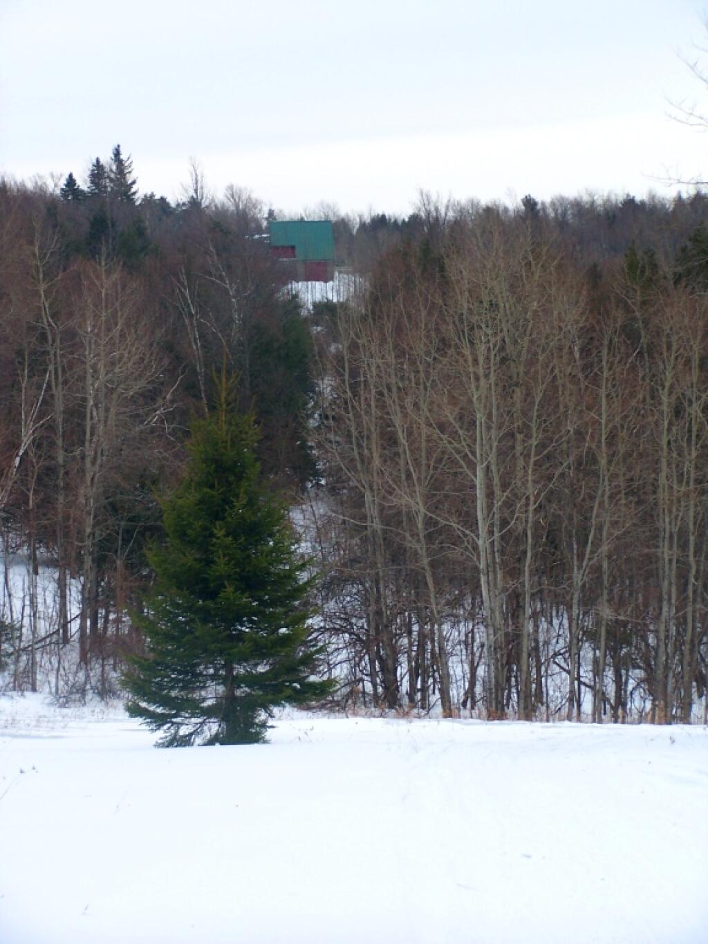 Photo: House on the Hill Photo: House on the Hill