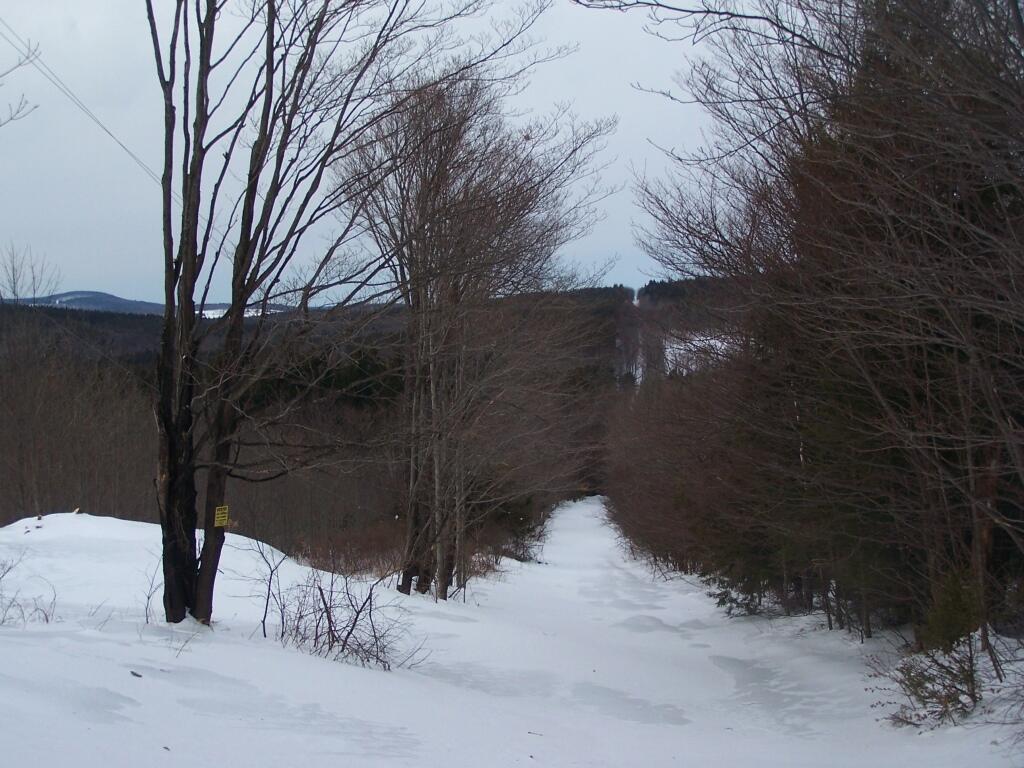 Photo: The Other Part of Shultes Road Photo: The Other Part of Shultes Road