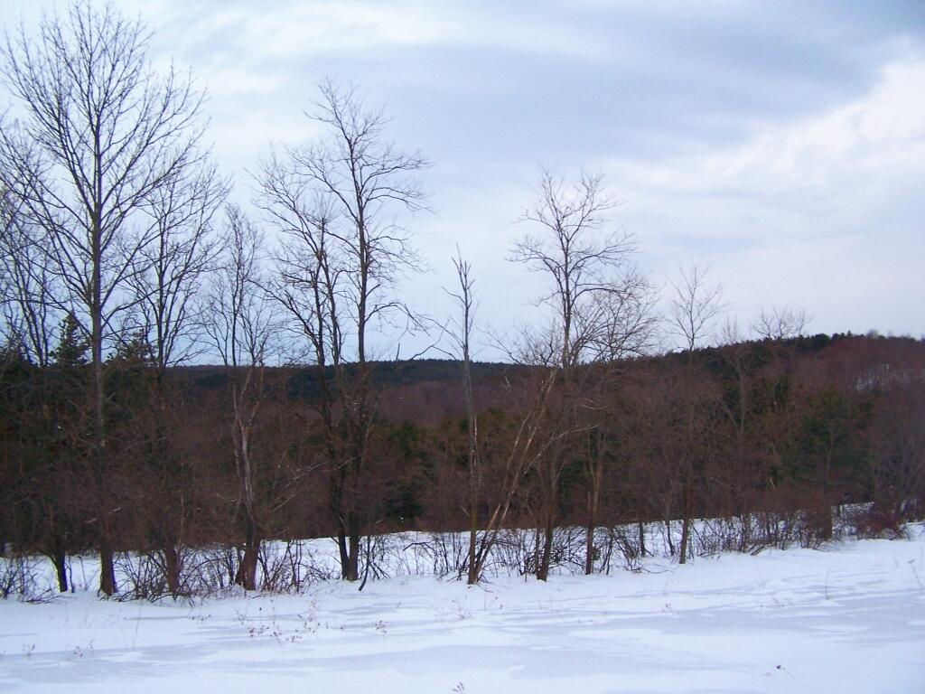 Photo: Cook Hill Valley Photo: Cook Hill Valley