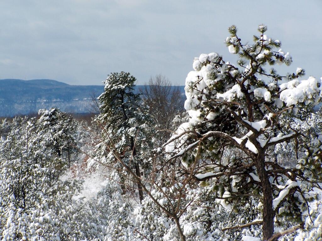 Photo: West Off Overlook Dune
