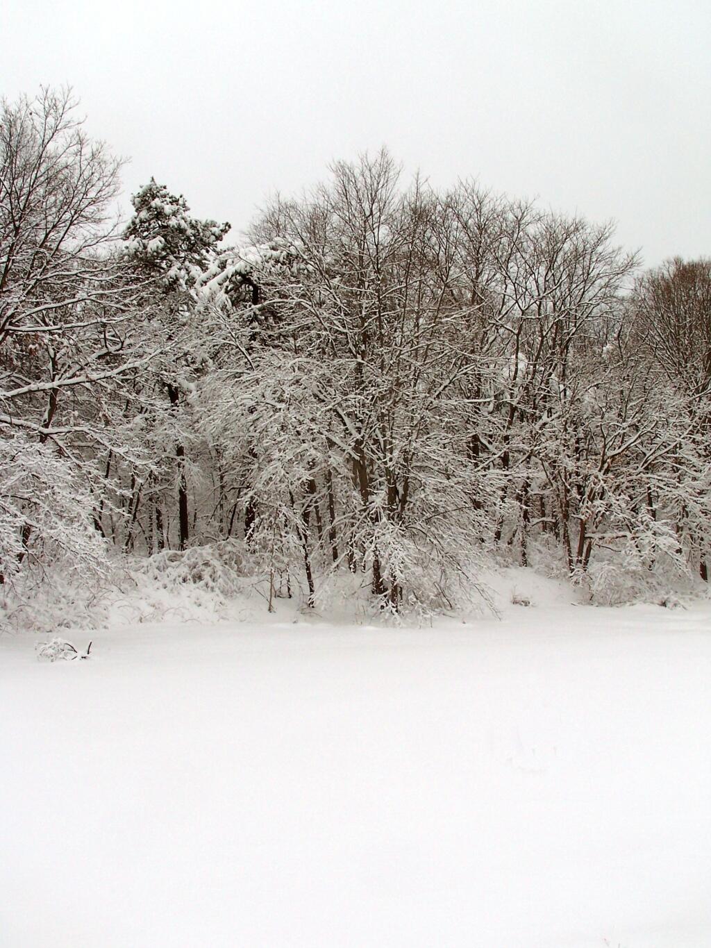 Photo: Pond Photo: Pond