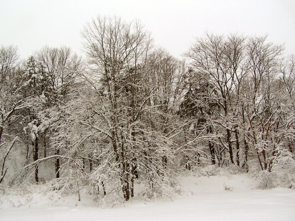 Photo: Winter Wonderland Photo: Winter Wonderland