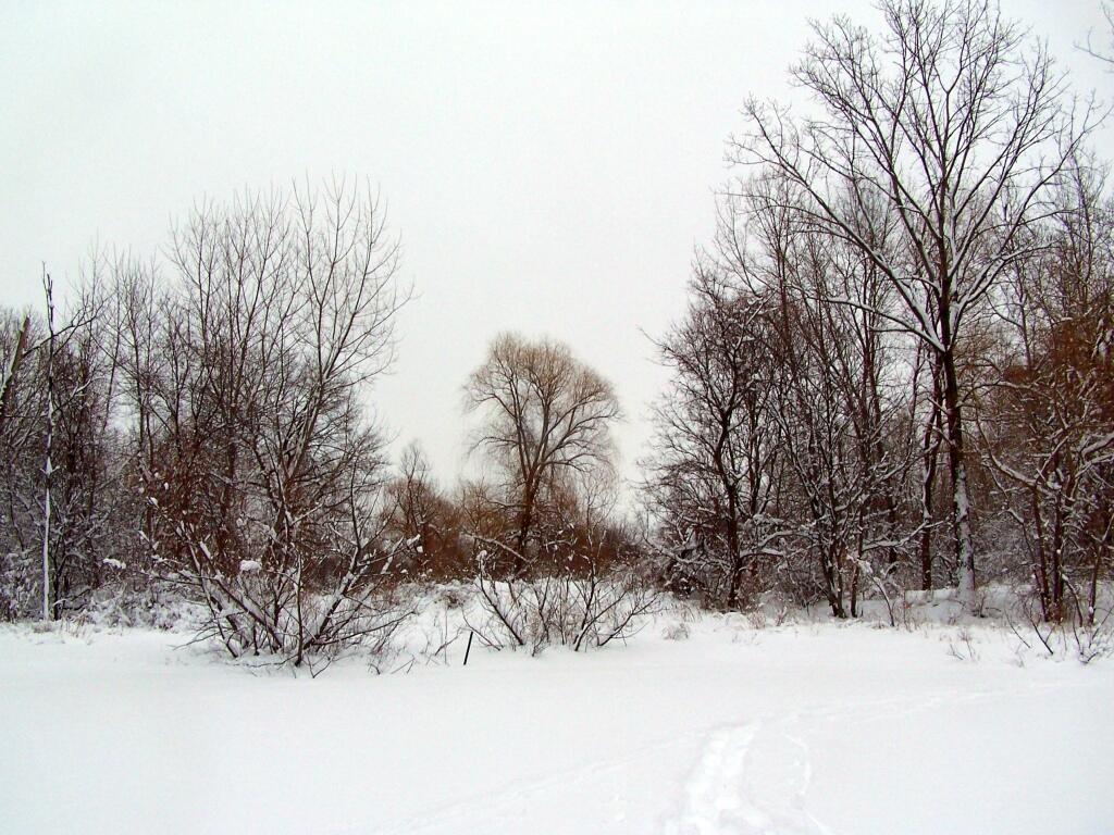 Photo: Towards the Old Trailer Park