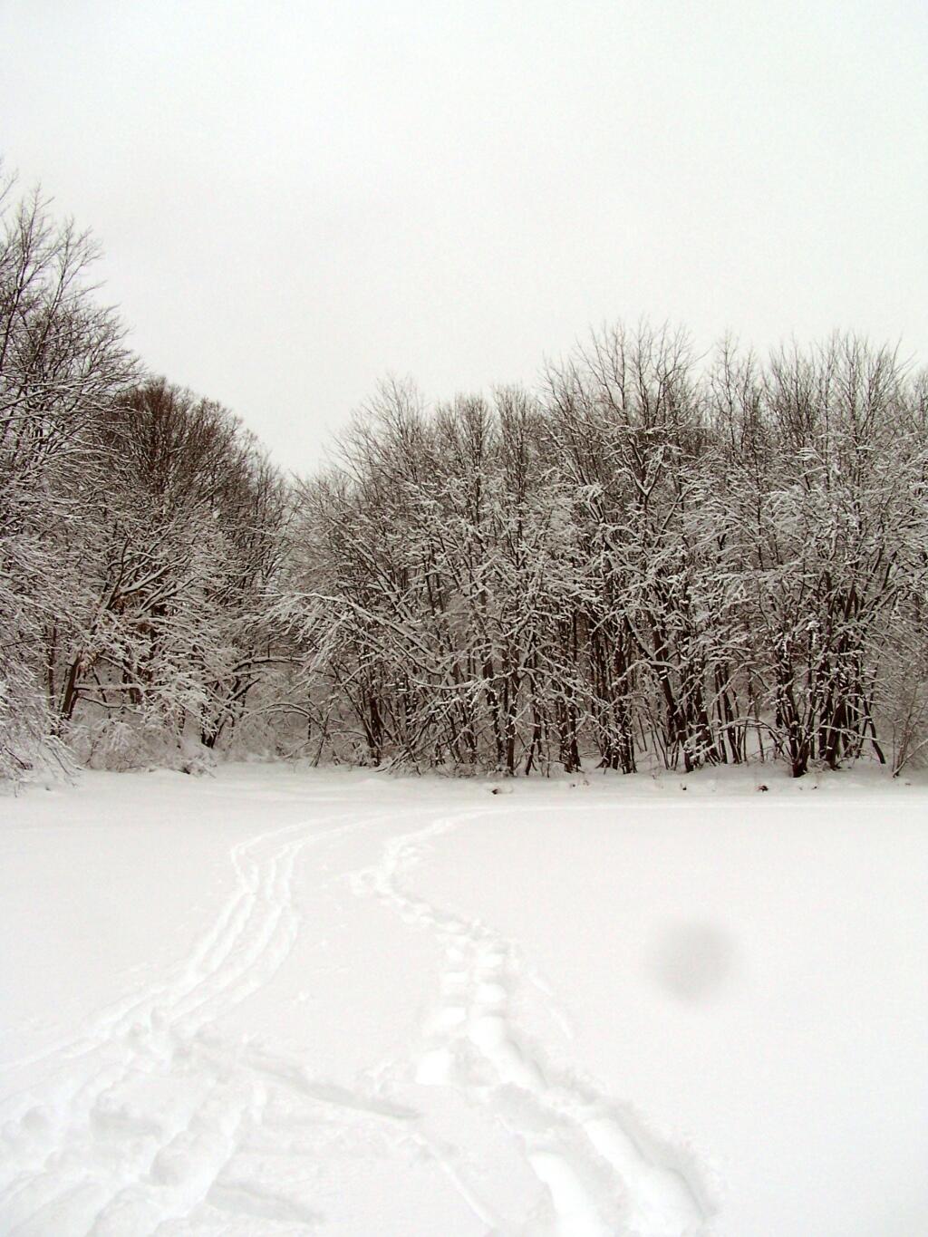 Photo: Snowshoe Tracks Across the Pond