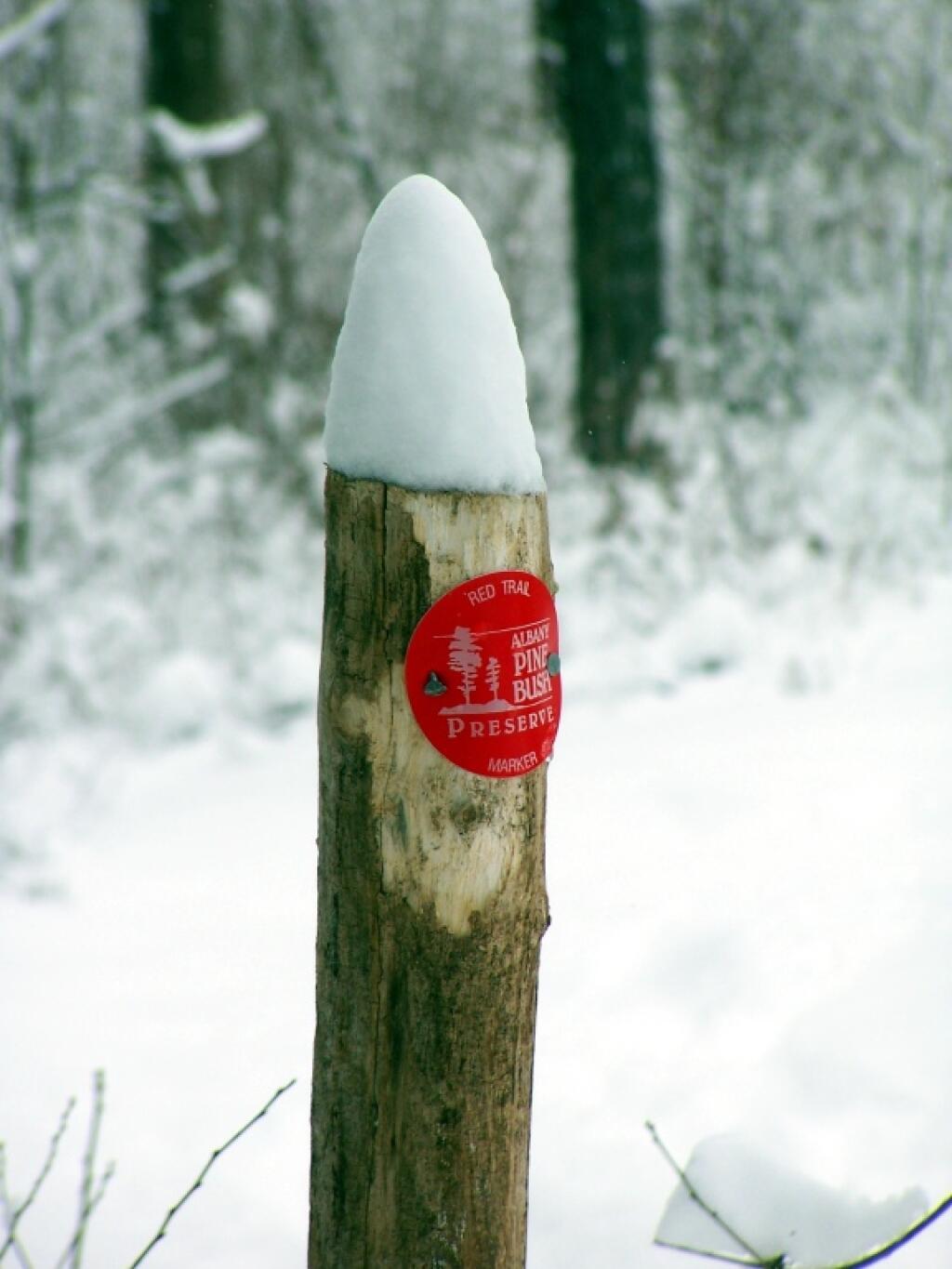 Photo: Red Trail Marker