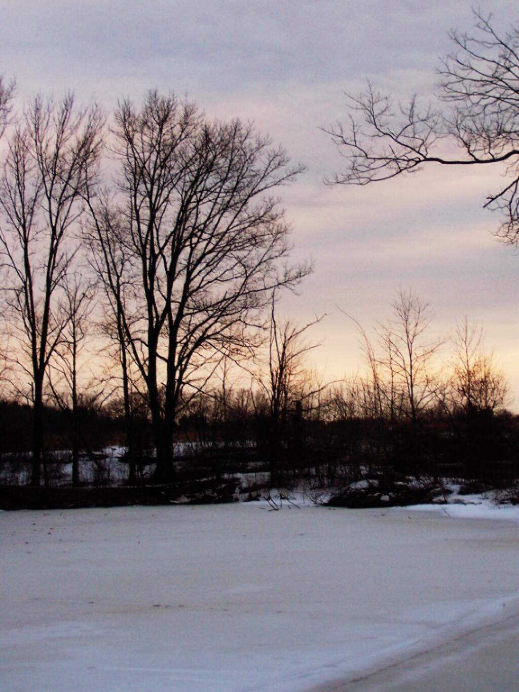 Photo: Thin Ice on Pond
