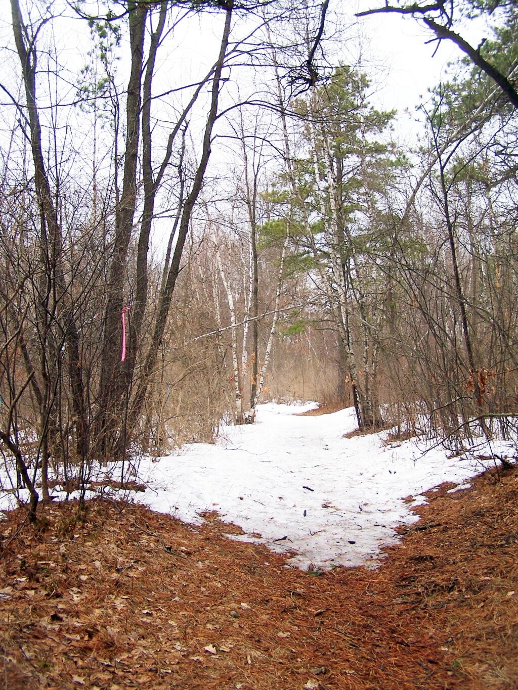 Photo: Hiking Along Centerville Road