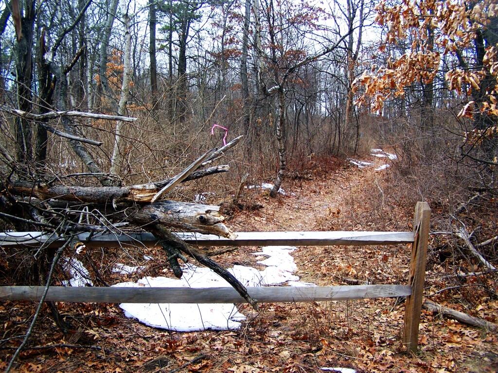 Photo: Gateway to the Forbidden Zone