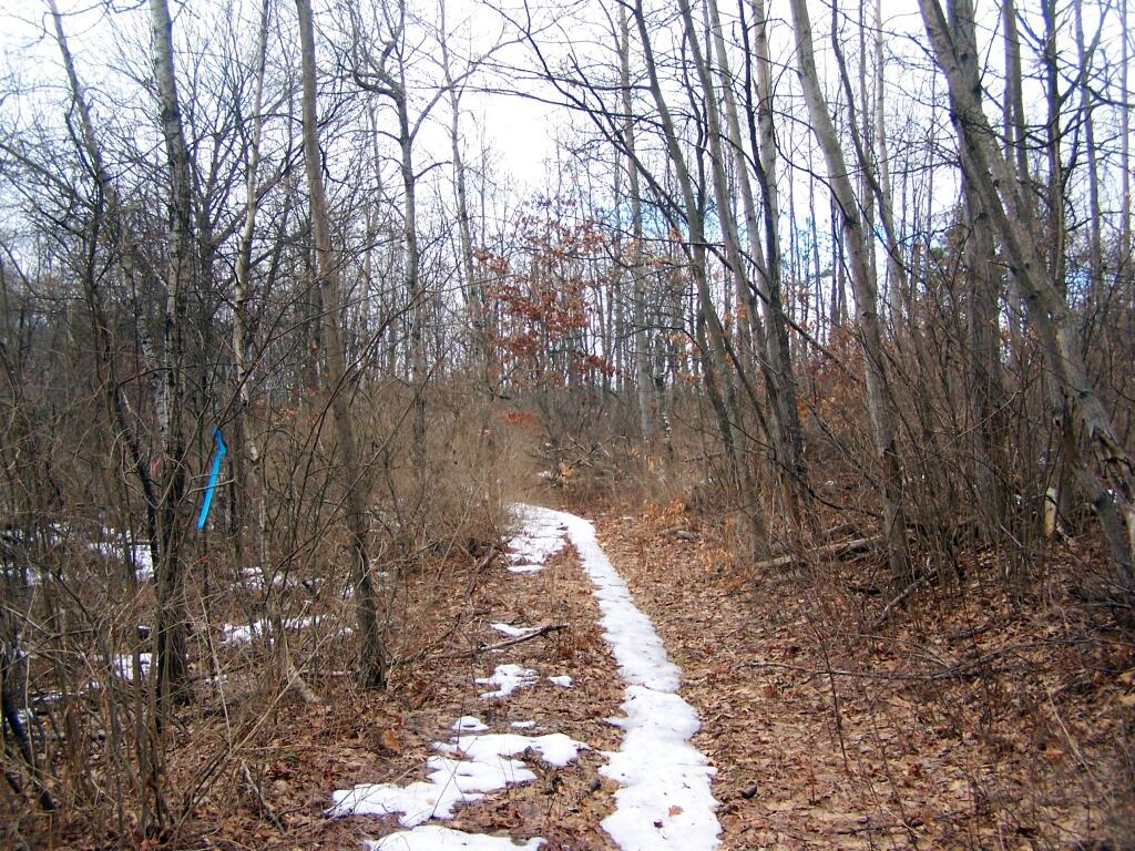 Photo: Centerville Road in the Forbidden Zone Photo: Centerville Road in the Forbidden Zone